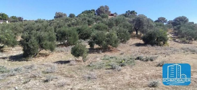 Pitsidia Ein wunderschönes Stück Land mit Meerblick in Pitsidia Grundstück kaufen